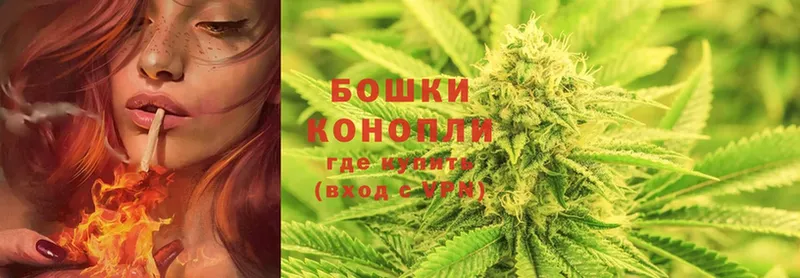 даркнет сайт  Павлово  Бошки марихуана White Widow 